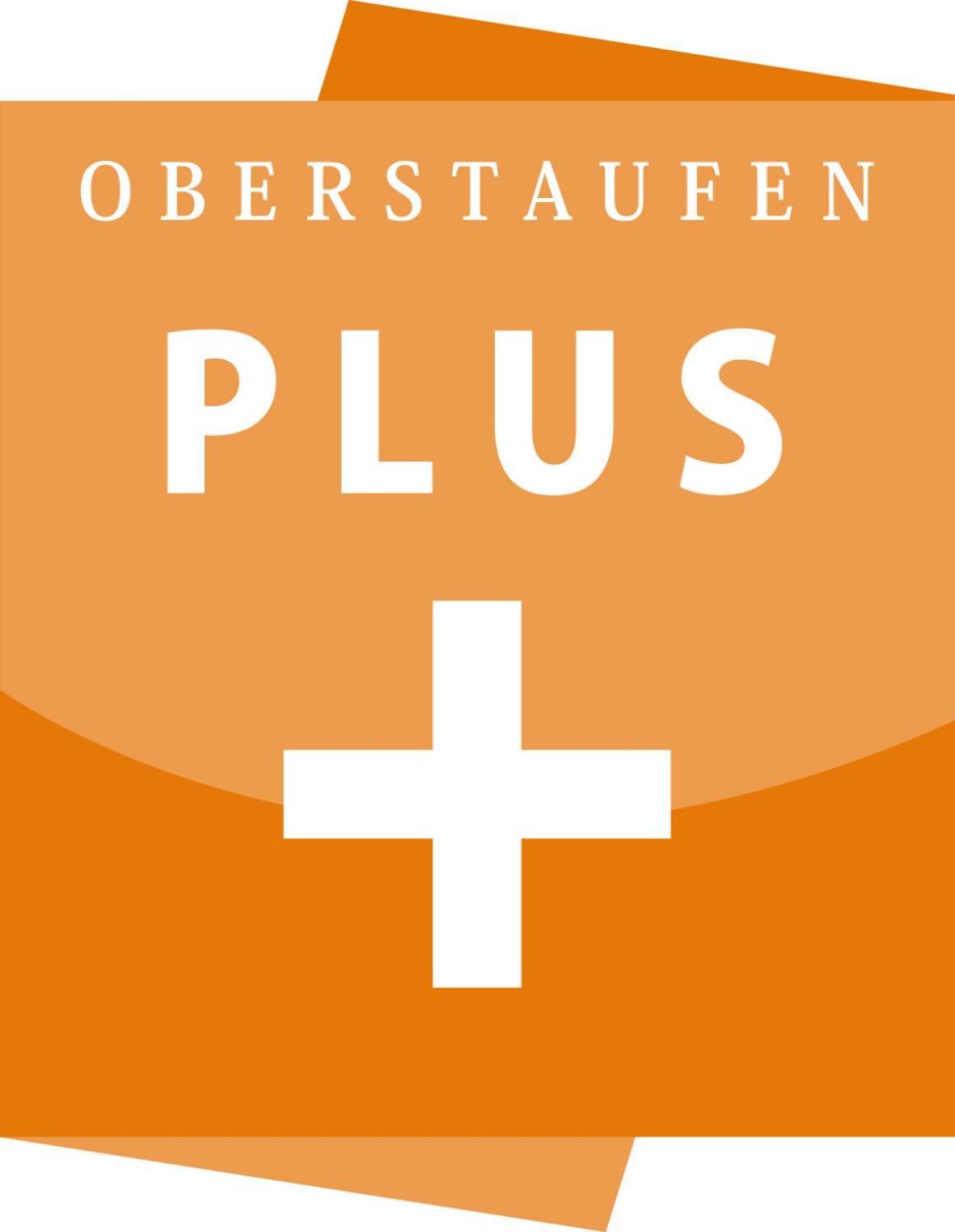 Exklusive Fewo Allgaeustern Steibis Mit Wlan Sauna Kamin Und Oberstaufen Plus Card Zewnętrze zdjęcie
